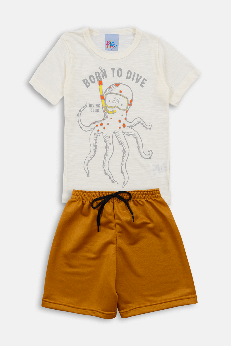 des0195 conjunto